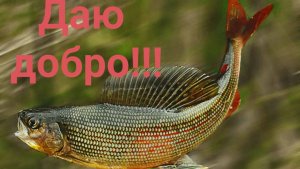 Хариус одобряет и ставит лайк)))))