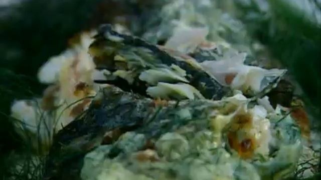 River Cottage   S01E01   Escape To River Cottage 1
