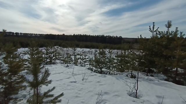 Завьяловский р-н, д.Сепыч, Березовая,3 смотреть онлайн