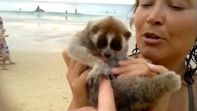 Приколы в Тайланде смотреть онлайн