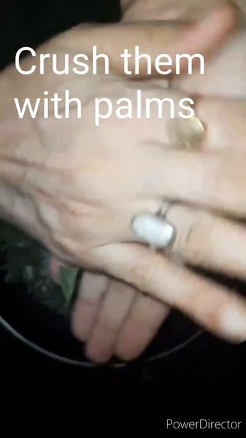 How To Make Organic Mint Powder|Pudina Powder|#shorts,#mint