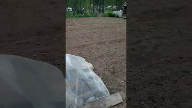 Мой первый влог в деревне у бабушки!!! Природа!!! Первые цветы! смотреть онлайн