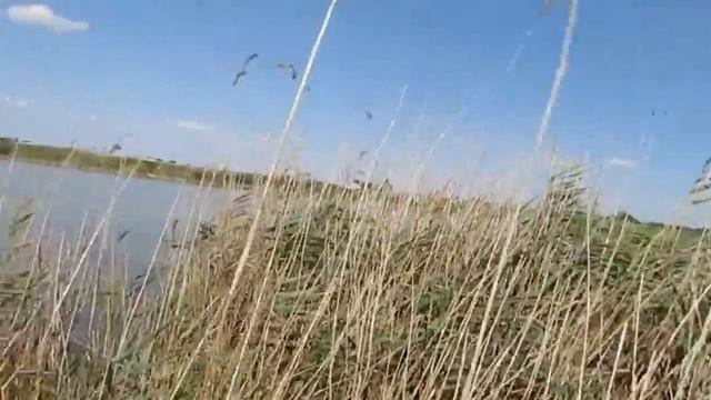 Мы на охоте смотреть онлайн
