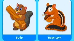 Учим названия Диких животных и их голоса / Развитие речи для самых маленьких/ Развивающий мультик