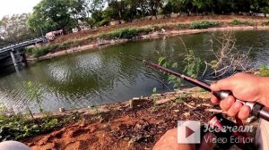 2025.03.25 - рыбалка в Индии на поплавок. Селёдка ломает снасть, луциан, терапонт.mp4