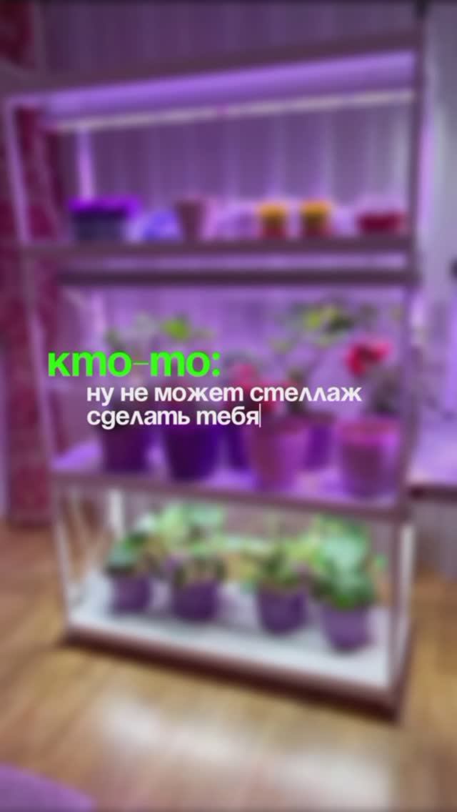 Вещи не могут сделать вас счастливыми? смотреть онлайн