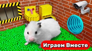 Лабиринт для Хомяка ! Умный Хомяк выбирается из лабиринта СУПЕР МАРИО ! Видео для детей