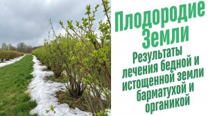 Восстановление плодородия почвы.