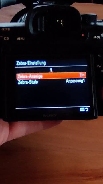 Nail Your EXPOSURE With HLG And LOG Profiles #shorts #filmmaking #exposure