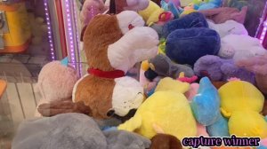 ЛОВЛЮ КЛАССНЫЕ ИГРУШКИ В АППАРАТАХ telephone 🧸🐶+ МЕГА ХВАТАЙКА разочаровывает 🤷♀