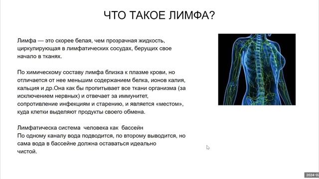 Наша лимфатическая система, её значение и кислотно-щелочной баланс. смотреть онлайн