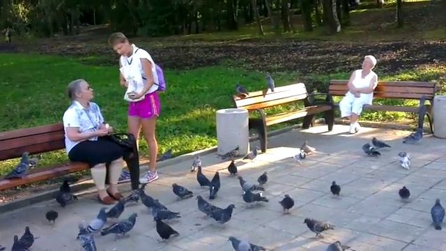 Велопробег в Северном Тушино смотреть онлайн