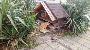 Кошка Муся  "Теремок"