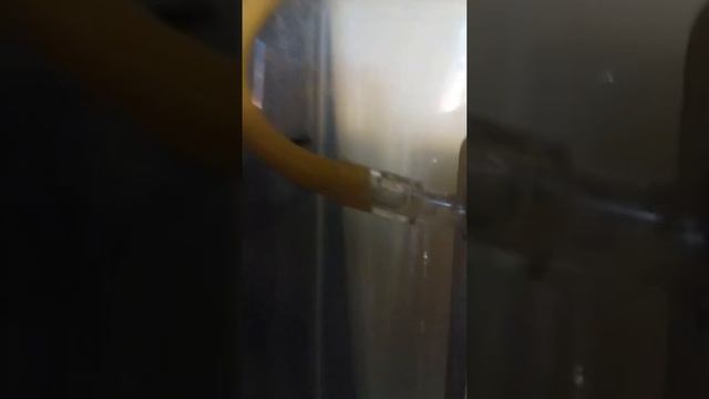 Moving my 3 year old Camponotus pennsylvanicus colony into the new carved pine nest (part 2) смотреть онлайн