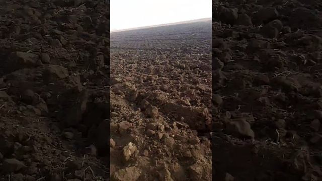 11 октября 2021 г. смотреть онлайн