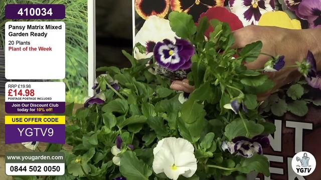 You Garden Live Shopping смотреть онлайн