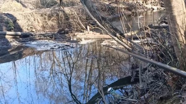 Соблазнение весеннего карася на удочку с боковым кивком.