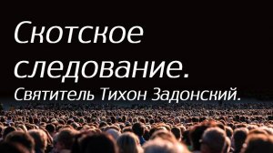 Скотское следование. Святитель Тихон Задонский.