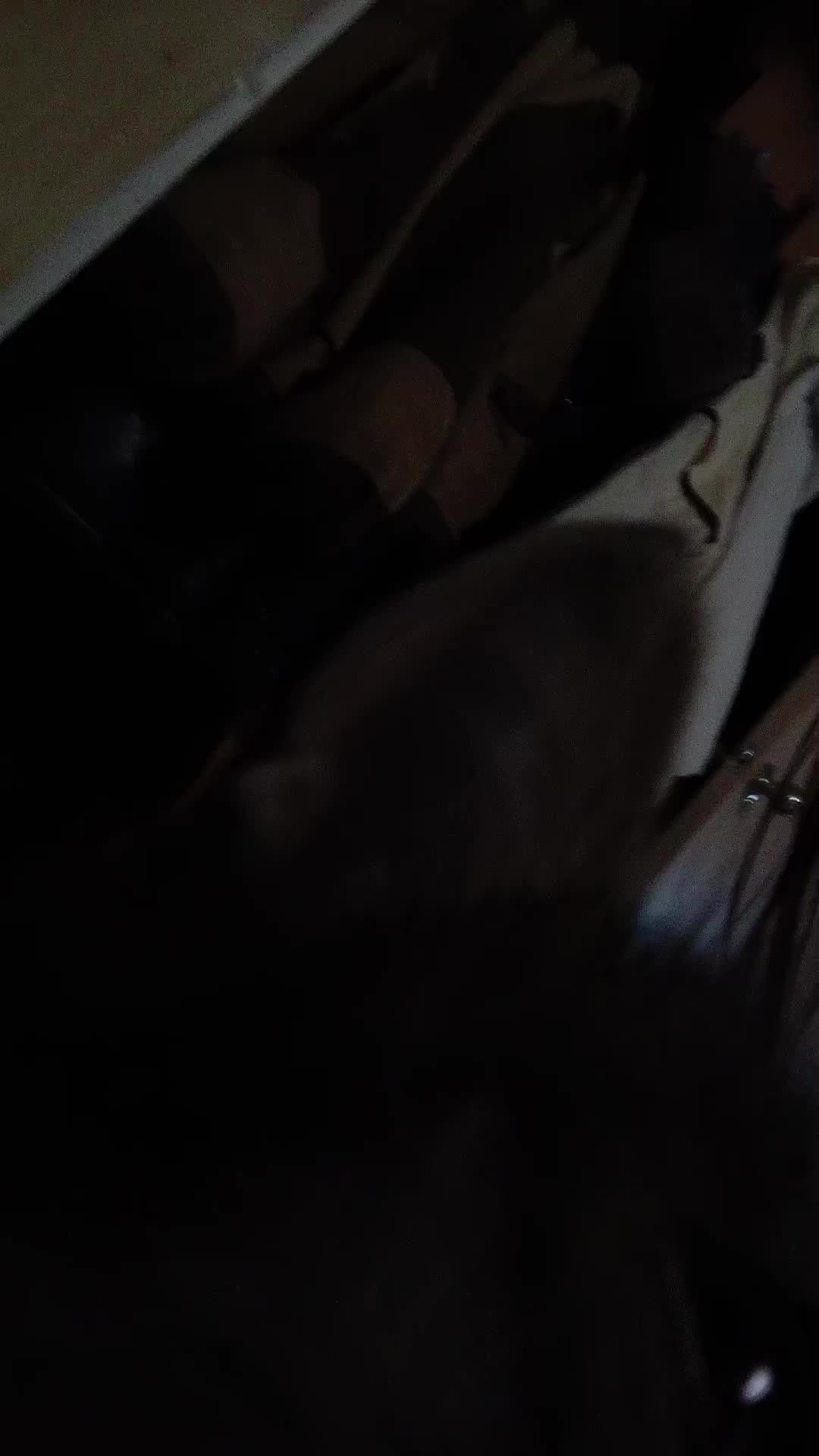 Симба смотреть онлайн