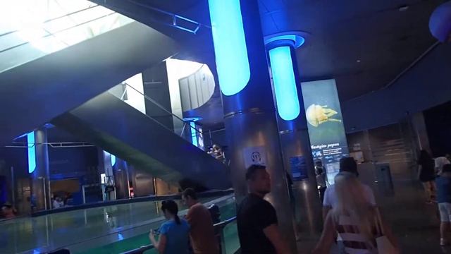03 Entrance Part 3 Sharks Rays Oceanografico Valencia 2017 смотреть онлайн