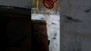 зимняя трелёвка Т150к