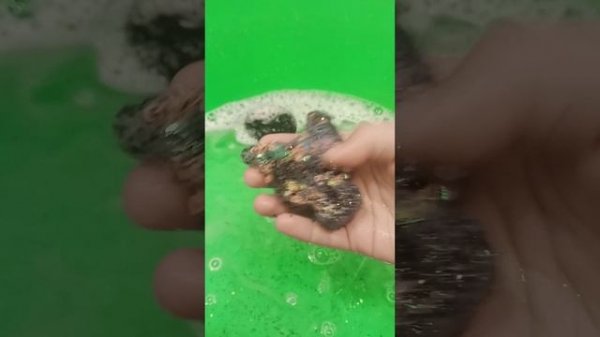 моем мои таба лапки https://media.tenor.com/gtAe2x8CT3sAAAAM/baby-squish.gifhttps://media.tenor.com/