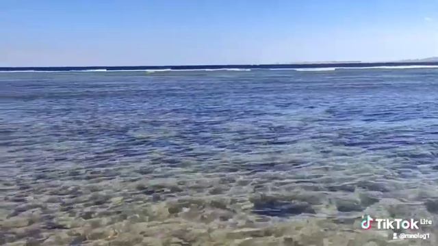 17 февраля 2023 г.