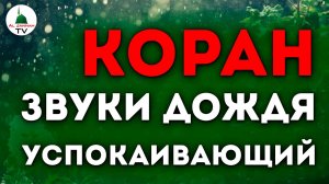 Коран со звуком дождя и грома. КОРАН на фоне природы. Сура Юнус. Слушать