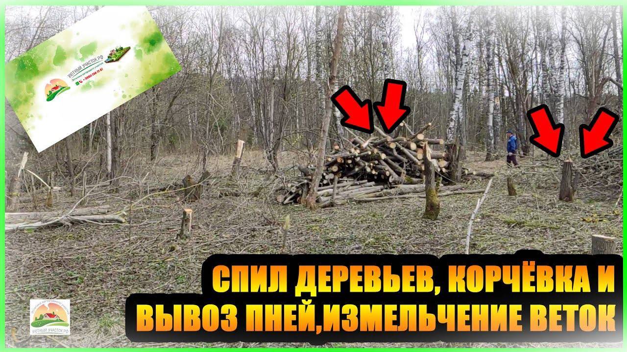 СПИЛ ДЕРЕВЬЕВ КОРЧЁВКА И ВЫВОЗ ПНЕЙ ИЗМЕЛЬЧЕНИЕ ВЕТОК 23 СОТКИ смотреть онлайн