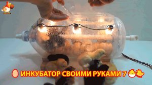 Инкубатор своими руками из подручных материалов и результат инкубации🥚🐣🐤 вариант (7)