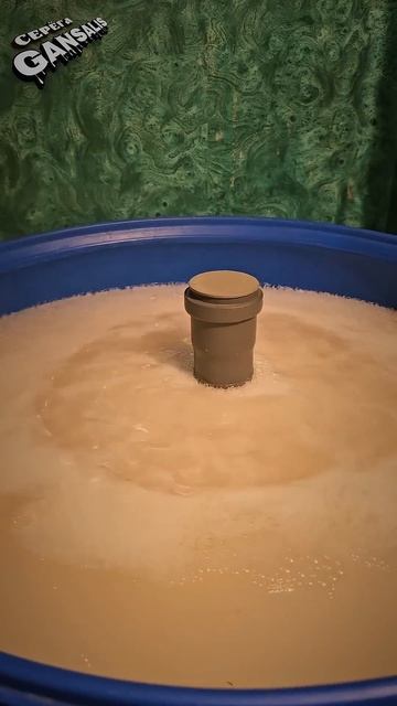 ЧТО ЖЕ ТЕПЕРЬ ДЕЛАТЬ? #хитростисамогонщика #гравицапа #самогон #самогоноварение #брага #сахар #дрожи смотреть онлайн