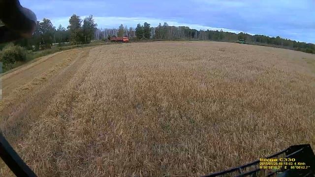 Уборка 2019.Комбайн Deutz Fahr 6090 HTS. Молотим ячмень. Поле 