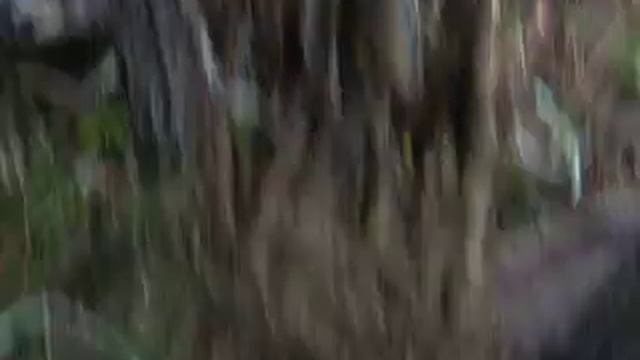 Саджанці фірми Літинсад смотреть онлайн