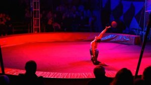 Цирк шапито«Империя Хищников«г.Красногорск.Цирковое представление с акробатическими трюками-15.03.25