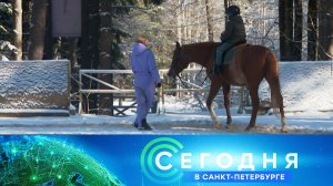 «Сегодня в Санкт-Петербурге»: 25 марта 2025 года