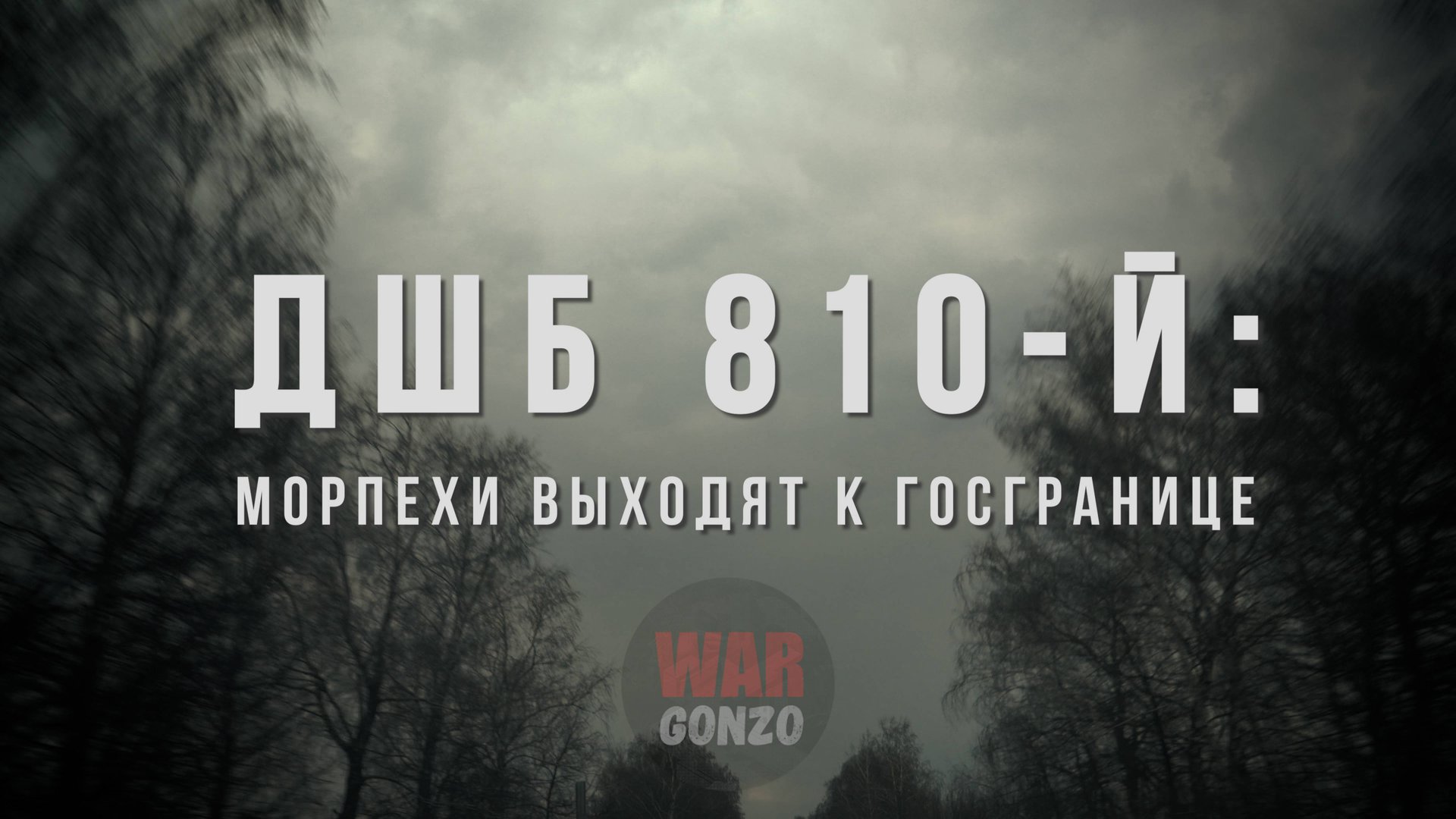 Спецрепортаж WG «ДШБ 810-й: морпехи выходят к госгранице»