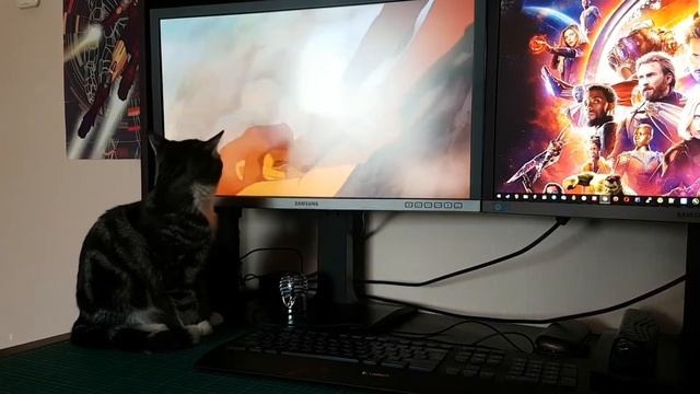 Да здравствует король! смотреть онлайн