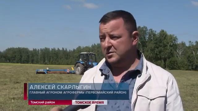 В Томске планируют строительство завода по переработке рапса смотреть онлайн
