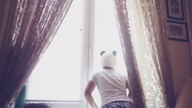 Если бы люди вели себя как собаки... 🐾😄 смотреть онлайн