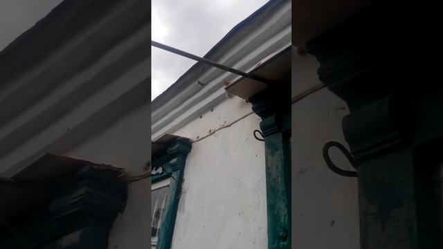 Лето 2019.Днепр. Санни гуляет по крыше. Последнее съемное жилье. смотреть онлайн