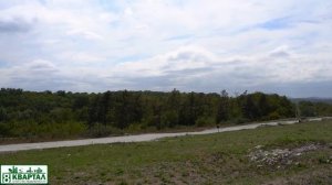 Лесная поляна