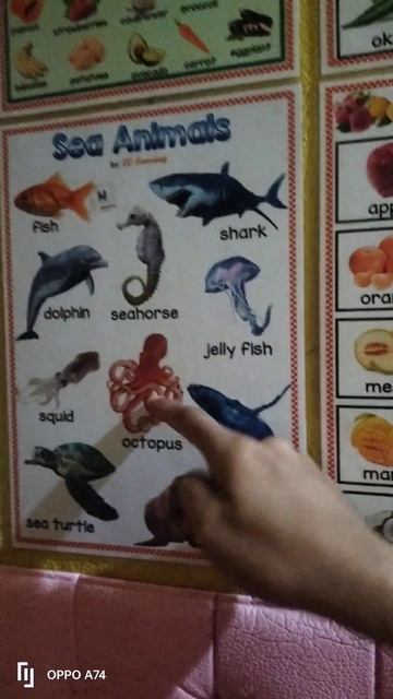Bella is naming the different Sea Animals смотреть онлайн