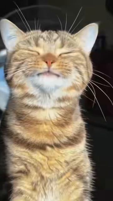 Чистый кайф💯 смотреть онлайн