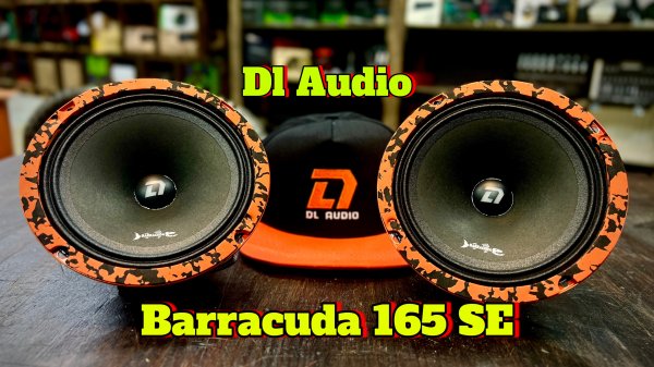 Громкие, Яркие и по ценнику Приятные Dl Audio Barracuda 165 SE