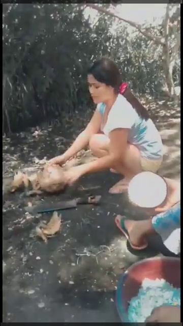 Kodkod Ug Taman 😅