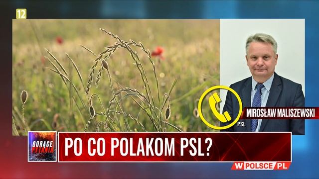 PO CO POLAKOM PSL? Maliszewski: PSL w Sejmie pełni rolę lobby rolniczego смотреть онлайн