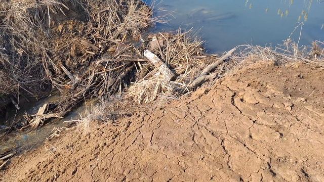 #18 Остаемся до завтра. Прогуляли целыйдень