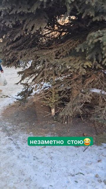 Вот что было у человека в голове? На всякий случай - мусорка в 5 метрах смотреть онлайн