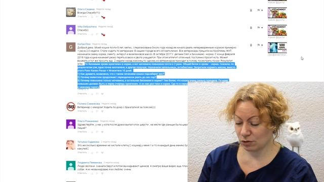 Вопросы по питанию кошек смотреть онлайн