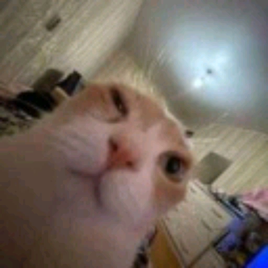 играю в РБ кто хочет присоединяйтесь